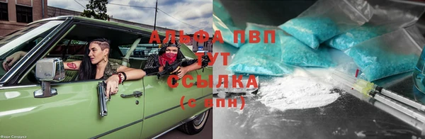 сатива Абинск