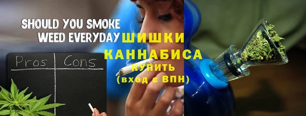 сатива Абинск