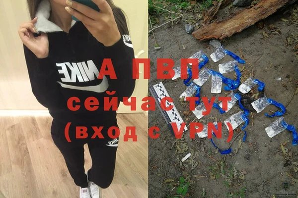 сатива Абинск