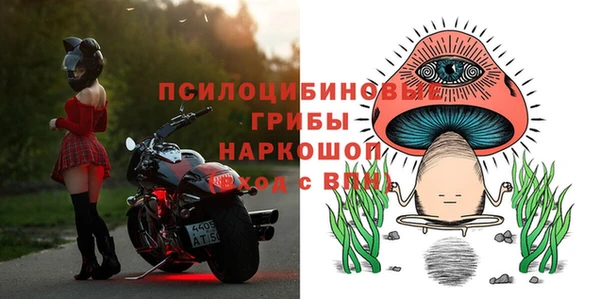 сатива Абинск
