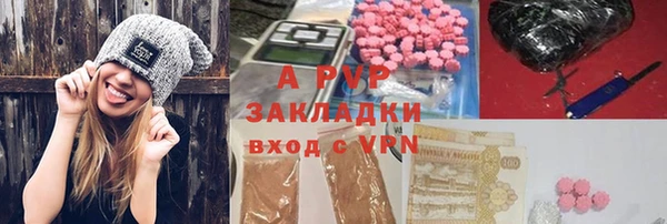 гидра Алексин